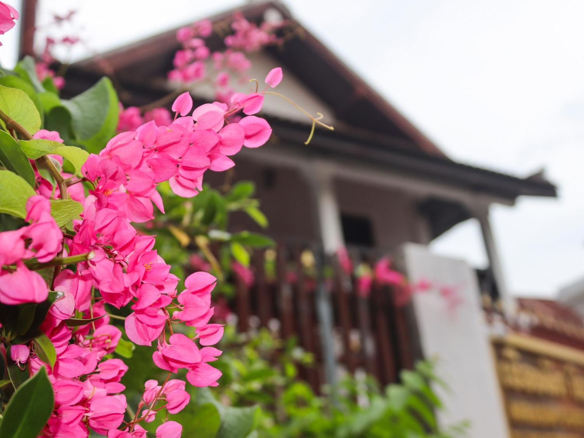 Nirasim Villa Luang Prabang Exteriör bild
